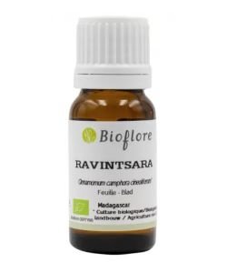 Ravintsara (Cinnamomum camph. Cineol.) BIO, 10 ml